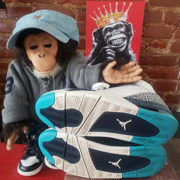 Jordan "Son of Mars" Hornets - Picture 8 of 14